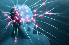 brain and neural nerve